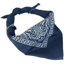 Mil-Tec Bandana (US Halstuch) Paisley Blau